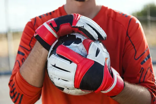 开云体育官网界面